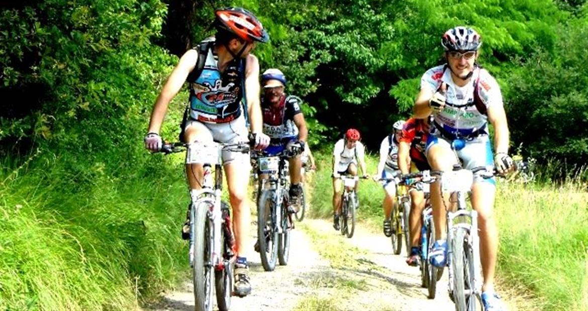 0, 142, 1170, 619, 639, 338